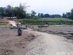 Kondisi Bengawan Solo yang Kering Kerontang