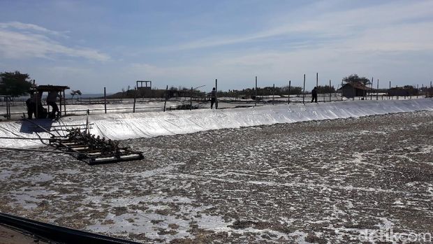 Sempat Ricuh, Penertiban Tambak di Dekat Bandara Kulon Progo Dilanjut