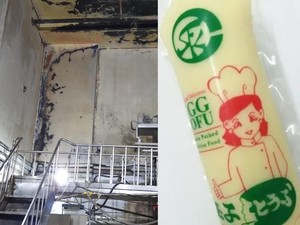 Hii..! Jadi Sarang Kecoa, Pabrik Tahu Ini Kena Denda Rp 31 Juta