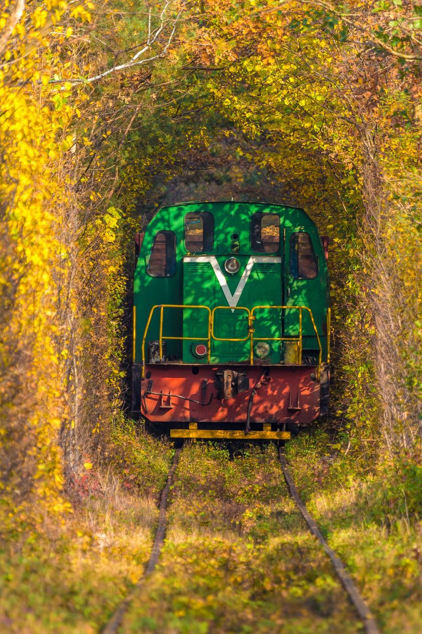 Symbol of heart on the background of tunnel of love.