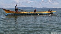 Memanen rumput laut ini biasanya dilakukan oleh beberpa nelayan.