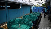 Diharapkan, ke depannya selain membantu pasokan listrik PLN juga bisa terus menjadi mitra program unit produksi di sekolah yang sudah berjalan melalui Rumah Kreatif BUMN (RKB) PLN.