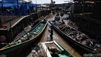 Kenaikan ini berdampak sangat bagus untuk para pengusaha dan petani di Nunukan.