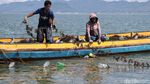 Botol Plastik, Sahabat Petani Lumput Laut