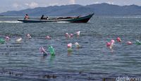 Botol plastik yang mengapungkan rumput laut (Pradita/detikcom)