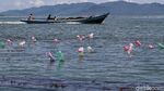 Mengintip Budidaya Rumput Laut di Nunukan