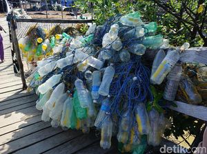 Botol Plastik dan Petani Rumput Laut di Nunukan