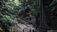Anak-anak bermain di sungai yang membelah hutan.