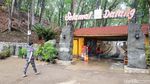 Foto: Hutan Romantis di Pacitan