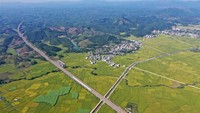 Melintas di tengah hamparan sawah, kereta peluru berwarna putih ini tampak kontras dengan warna hijau di sekelilingnya. Foto: Dok. Xinhua/Lu Boan