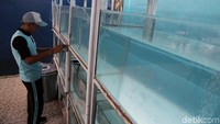 Listrik menjadi kunci dari seluruh program kreatif yang dimiliki oleh pihak sekolah. Pasokan listrik yang stabil dan cukup diperlukan supaya kegiatan unit produksi bisa berjalan dengan baik.
