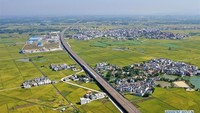 Panjang jalur kereta cepat di China bahkan lebih panjang daripada total panjang gabungan jalur kereta cepat negara lainnya di seluruh dunia. Foto: Dok. Xinhua/Lu Boan
