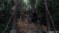 Rencananya di hutan ini akan dibangun gazebo untuk wisatawan berteduh sambil menikmati segarnya suasana hutan.