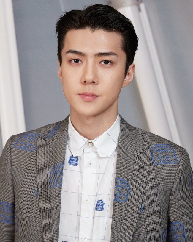 Kehadiran Sehun juga membuat penggemar heboh. Personel EXO ini pun tak asing lagi dengan merek eksklusif tersebut karena merupakan brand ambassador yang kerap diundang ke sejumlah fashion show-nya. Foto: dok. Twitter Louis Vuitton