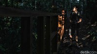 Seorang wisatawan menyusuri jalur hutan.