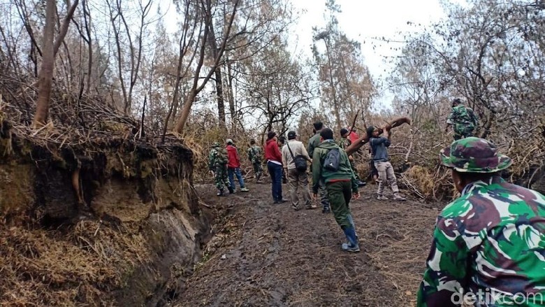 Wisata Kawah Ijen akan Kembali Dibuka, Jalur Pendakian Dibersihkan Wisata Kawah Ijen akan Kembali Dibuka, Jalur Pendakian Dibersihkan