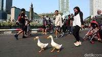 CFD memang jadi ajang warga untuk berolagraga atau beraktivitas tanpa kendaraan bermotor. Kadang ada yang membawa hewan peliharaan ke kawasan CFD.
