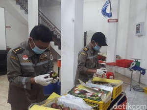 Manggis dari Sumbar Laku di Perancis hingga China