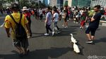 Saat Dua Bebek Ikut Ramaikan CFD di DKI