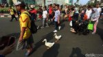 Saat Dua Bebek Ikut Ramaikan CFD di DKI
