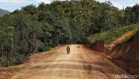 Wilayah Krayan sendiri dikelilingi oleh hutan khas Kalimantan yang masih lebat nan hijau.