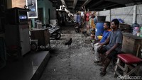 Saat ini terdata sebanyak 210 KK  dengan 1000 lebih warga yang berada di Kampung Walang itu. 