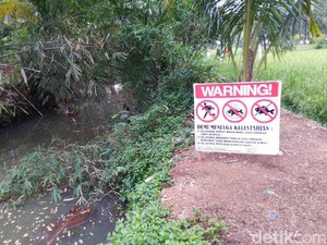 Mitos Ikan Mas Besar Misterius di Ciamis, Ditangkap Dapat Malapetaka