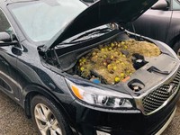 Berita Populer Sepekan: Chevrolet Cuci Gudang, Syarat Perpanjang STNK