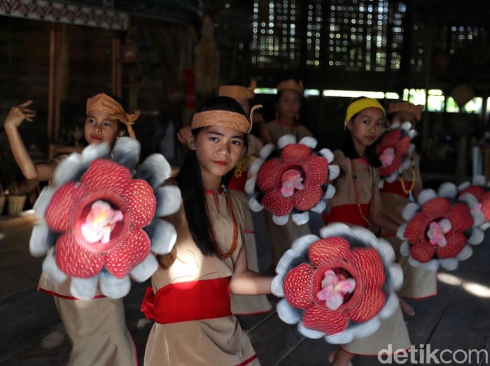 Sejumlah anak-anak tengah asyik menarikan tarian tradisional suku Dayak Lundayeh di perbatasan Indonesia. Seperti apa potretnya?