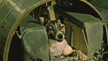 Uni Soviet juga pernah mengirimkan beberapa hewan ke luar angkasa. Salah satunya Laika yang meluncur ke orbit mengggunakan kapsul Sputnik 2 pada tahun 1957. Sayangnya Laika meninggal dalam misi ini. Foto: Space