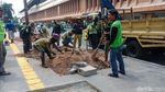 Potret Sisa-sisa Pohon Rindang di Cikini Usai Ditebang