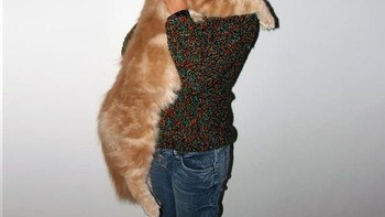 Saat digendong ukurannya nyaris sebesar bayi. Foto: via Bored Panda