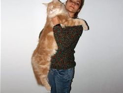 Kumpulan Potret Kucing Peliharaan Raksasa, Sungguh Ada!