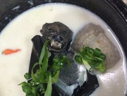 Ini 5 Makanan Mematikan dan Berbahaya yang Populer di Dunia