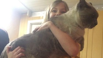 Kucing yang ini sepertinya kalem. Foto: via Bored Panda