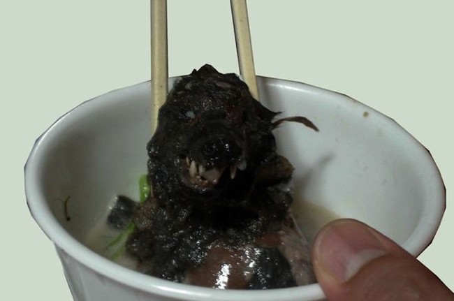 Ini 5 Makanan Mematikan dan Berbahaya yang Populer di Dunia Ini 5 Makanan Mematikan dan Berbahaya yang Populer di Dunia