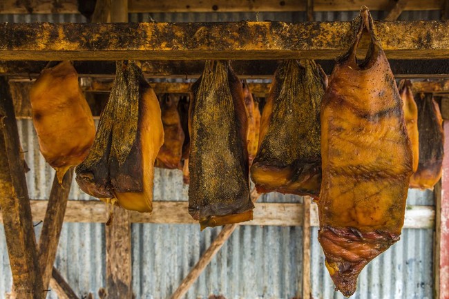 Ini 5 Makanan Mematikan dan Berbahaya yang Populer di Dunia