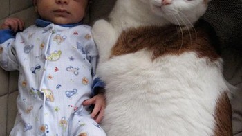 Disandingkan dengan bayi, kira-kira besarnya hampir sama. Foto: via Bored Panda