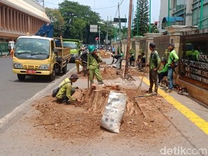 Penebangan Pohon di Cikini Dinilai Ganggu dan Bikin Panas Pejalan Kaki