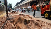 Seorang pejalan kaki nampak melintasi kawasan Cikini yang mulai kehilangan pohon-pohon angsana usai ditebang, Jakarta, Selasa (5/11/2019).