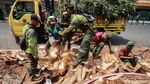Sulitnya Membongkar Akar Tunggak Pohon di Cikini