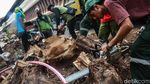 Sulitnya Membongkar Akar Tunggak Pohon di Cikini
