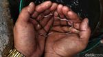 Melihat Pembuatan Garam Gunung di Utara Kalimantan