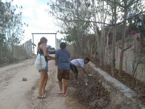Patut Ditiru, Bule Ini Punguti Sampah di Pantai Sumba