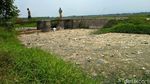 Jorok! Sungai Ledeng di Mojokerto Penuh Sampah dan Limbah Usus Ayam