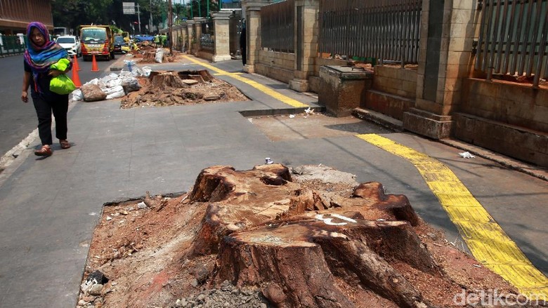 Sayangkan Pemotongan Pohon, PAN: Pemprov Tak Serius Bangun Jakarta Sayangkan Pemotongan Pohon, PAN: Pemprov Tak Serius Bangun Jakarta