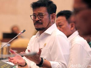 Jokowi Sering Dapat Keluhan Pupuk Subsidi Kurang, Mentan Bilang Gini