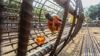 Sementara itu, proyek pengerjaan LRT terus dikebut petugas.