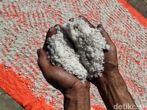 Garam Gunung Krayan, Garam Langka dari Pegunungan Kalimantan