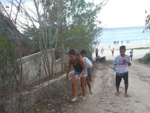 Viral Bule Punguti Sampah, Angin Segar di Tengah Turis Nakal